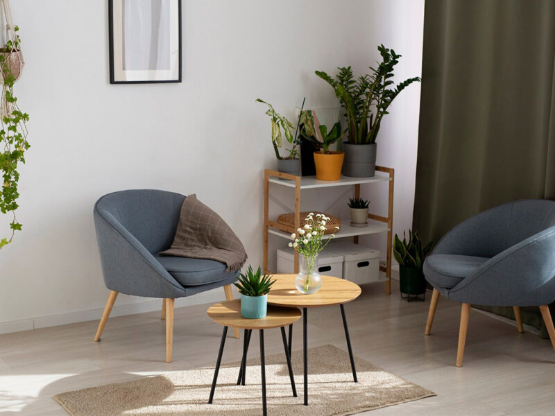 beautiful-home-with-healthy-green-plants_23-2149383712 beautiful-home-with-healthy-green-plants_23-2149383712